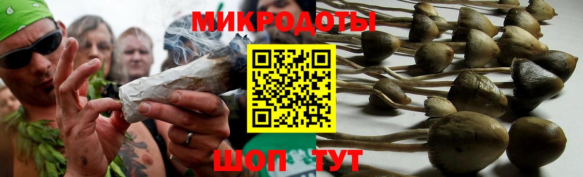 Галлюциногенные грибы Magic Shrooms Рязань